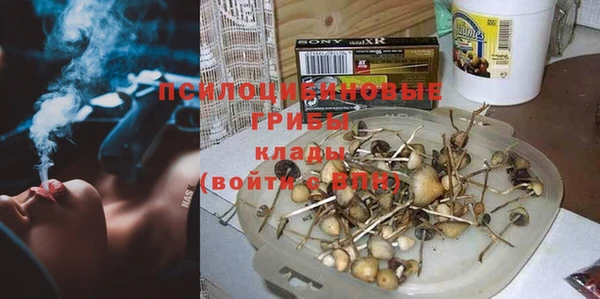 дживик Наволоки