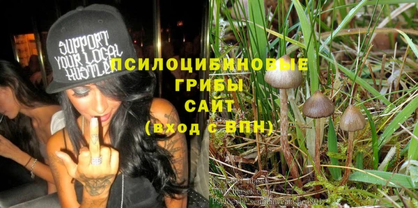 ПСИЛОЦИБИНОВЫЕ ГРИБЫ Алексин