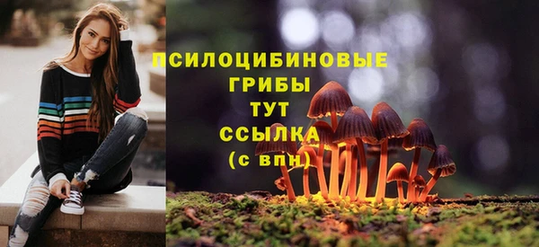 стафф Алзамай